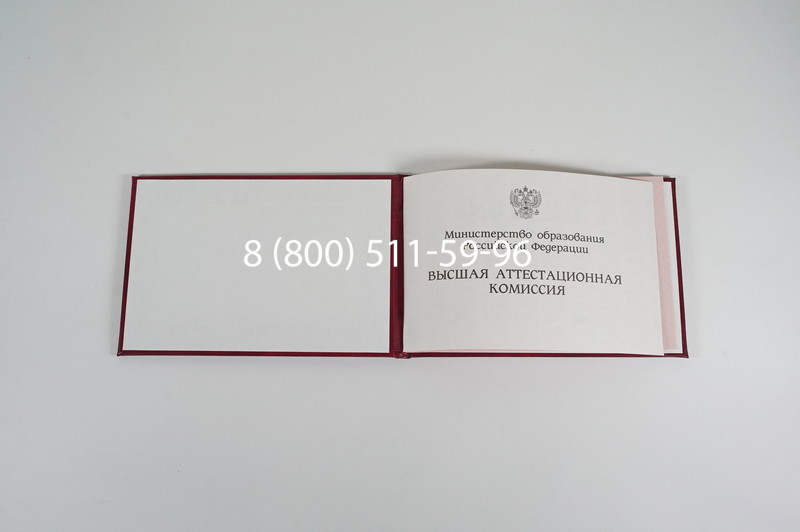Диплом доктора наук 1995-2006 года в Северске Диплом доктора наук 1995-2006 года в Северске