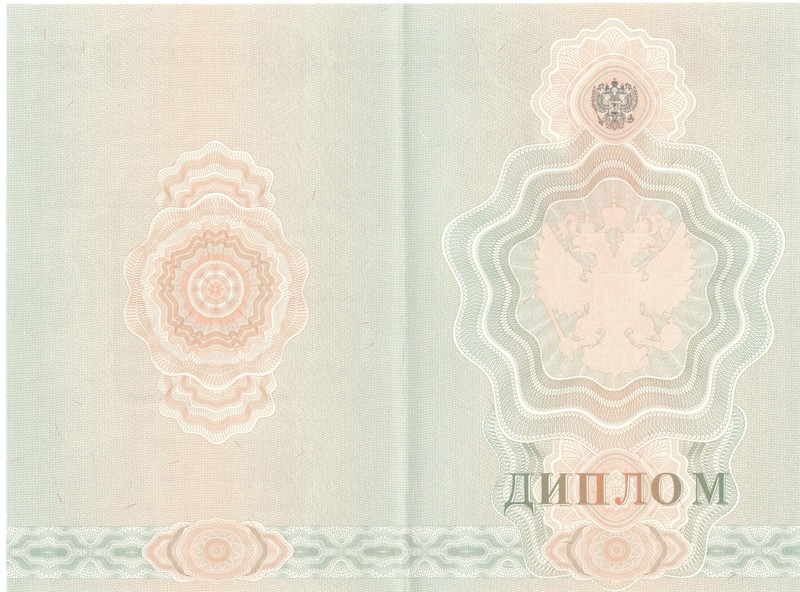Купить Диплом о начальном образовании 2007-2009 годов в Северске Купить Диплом о начальном образовании 2007-2009 годов в Северске